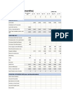 12 Month Cash Flow