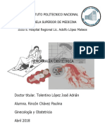 Hemorragia Obstétrica Paulina Rincón IPN