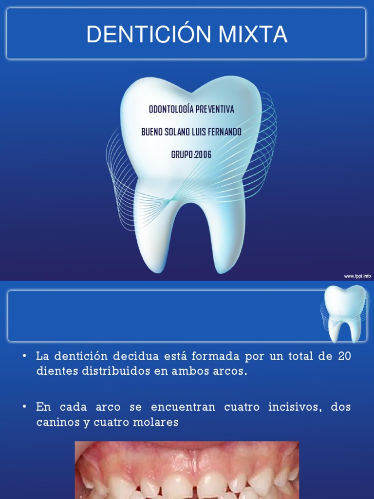Dentición Mixta: Etapas y Características | PDF | Artes del Lenguaje y ...