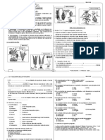 Ctbiol 1S Ivp