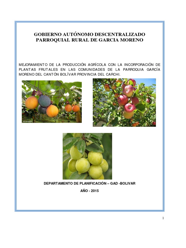 Details 48 proyecto de árboles frutales pdf