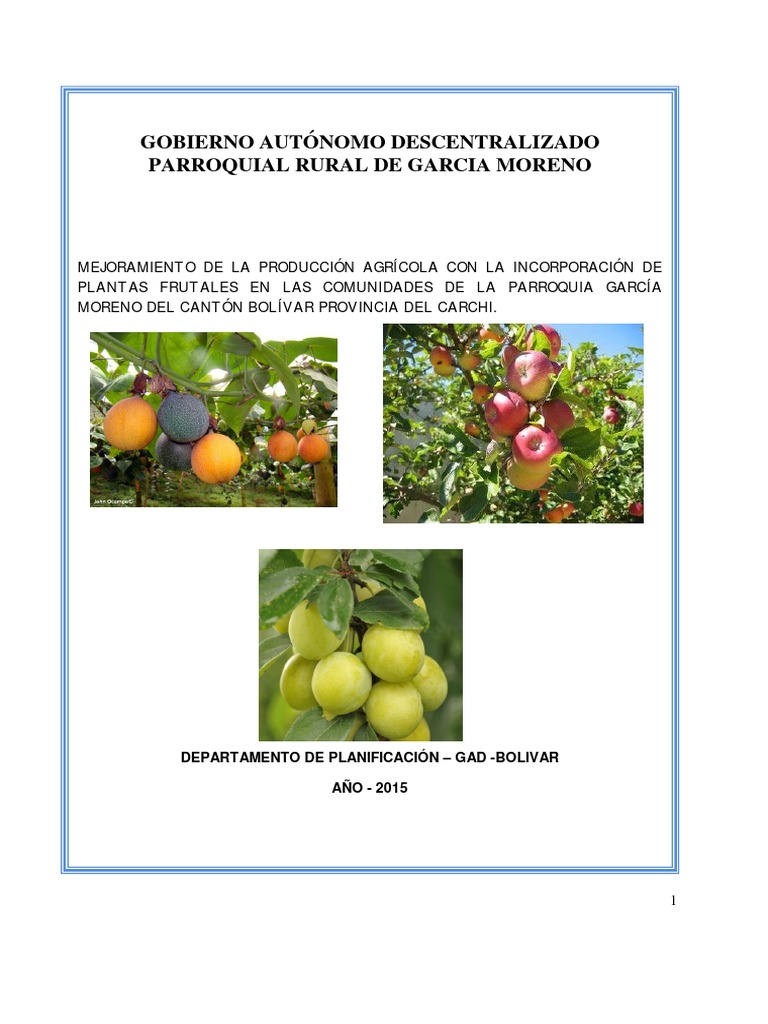 Proyecto Plantas Frutales | PDF | Fertilizante | Suelo