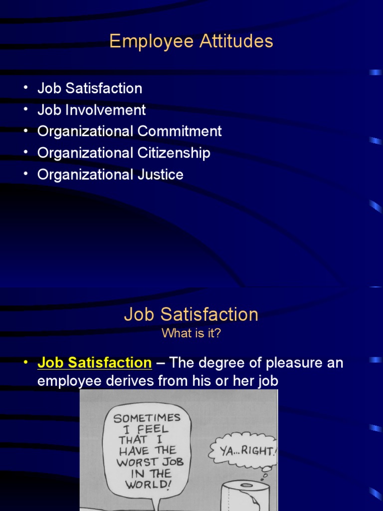 Understanding Employee Attitudes and Behaviors | PDF | Job Satisfaction ...