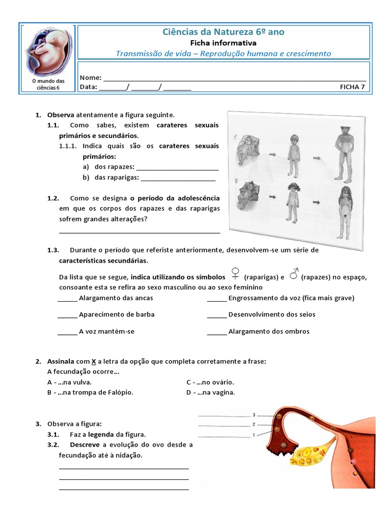 reprodução humana.pdf