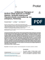 Morphology and Molecular Phylogeny of Peritrich Ciliate Epibionts on Pelagic Diatoms