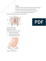 56556400-Anatomi-Dan-Fisiologi-Jantung.docx