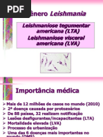 Aula Leishmania 2017 PDF