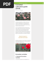 Carnation cultivation pdf