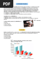 Produção pecuária (11º)