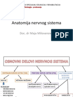 9 - Anatomija Nervnog Sistema PDF