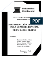 INFORME FINAL.docx