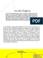 Ciclo Del Oxigeno Diapositivas Biologia