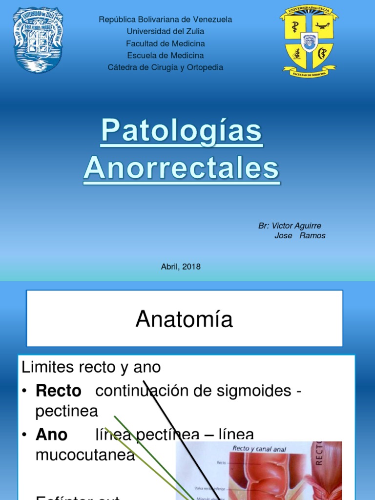 Enfermedad Anorectal | PDF | Hemorroides | Inflamación