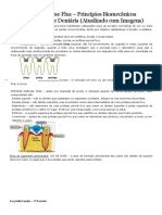 238875356-Apostila-Completa-Primeira-Af-Protese-Fixa-Suzymillesandesresumosdosegunda.pdf