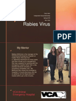 Rabies Mid Term Presentation
