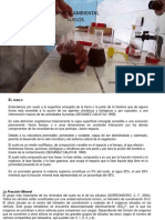 presentacion para suelos quimica ambiental 2018.pptx