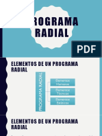 ELEMENTOS DE PROGRAMA RADIAL.pdf