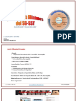 Estándares Minimos SG-SST - 01. Introduccion-Mayo 2017