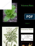 Poisonous Plants: PBIO 006 Summer 2012