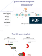 BIO Genetics Yeast Transcription