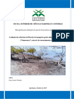 Avaliação Da Cobertura de Floresta de Mangal No Posto Administrativo de Macuse ("Namacurra"), Através Do Sensoriamento Remoto