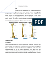 Ortopedi Fraktur Femur