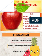 Pembentukan Buah