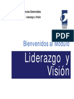 13255334 Liderazgo y Vision