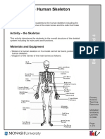 Skeleton 1 PDF