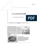 Ciclo Cellulare PDF