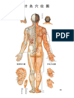 Meridian Chart 针灸挂图 PDF