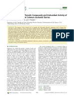 Characterization of Phenolic Compounds an Antioxidant Activity