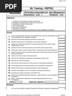 Perforation Interpretation B - Sand Management