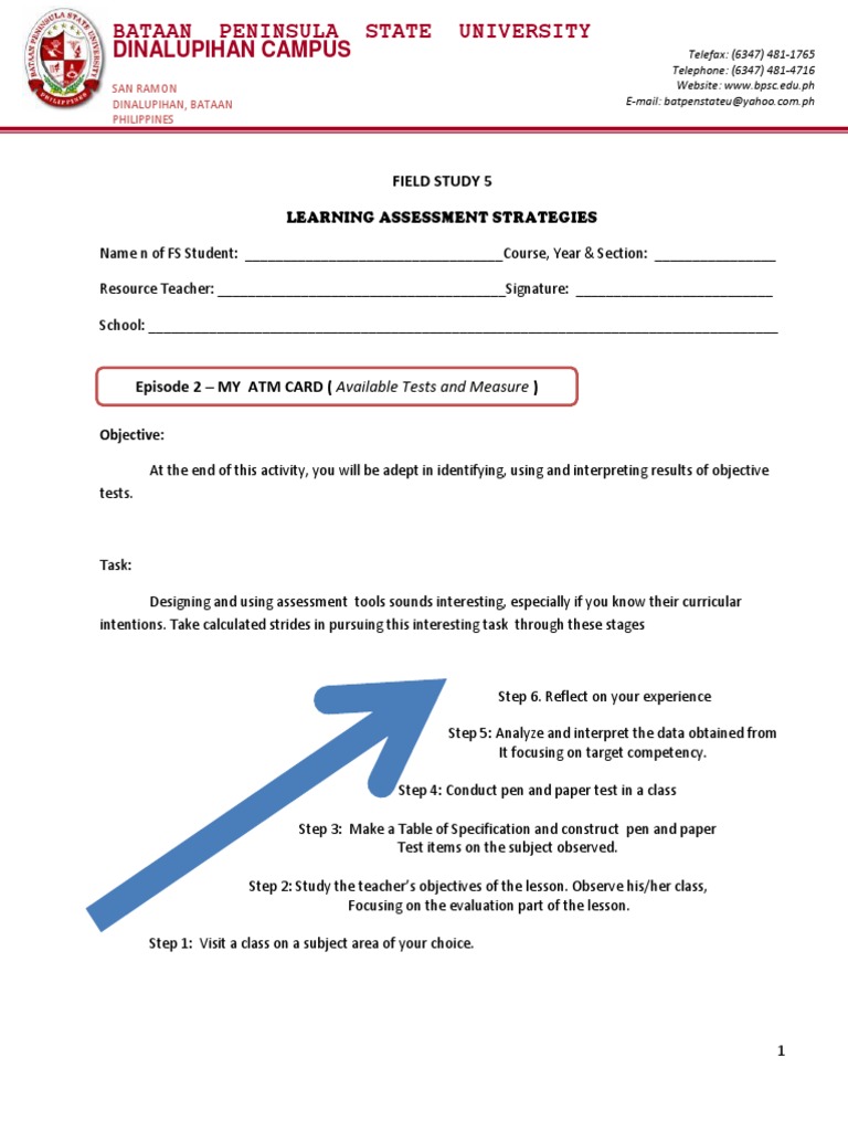 Learning Assessment Strategies Guide | PDF | Educational Assessment ...