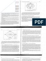 Doc PML Estrategia Competitividad