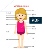 Partes Del Cuerpo en Ingles 6 c