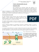 Guia Receptores de Membrana Final