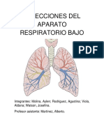 Infecciones Del Aparato Respiratorio Bajo (Modific