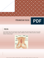 Perawatan Vulva