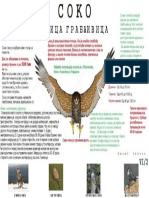 Јелена Биологија PDF