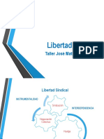 Libertad Sindical - Manzanilla