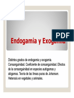 803110962.endogamia y Exogamia
