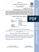 Bota Borsegui PDF