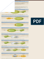 Recombinant DNA