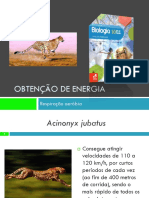 Obtenção de energia pela respiração aeróbia