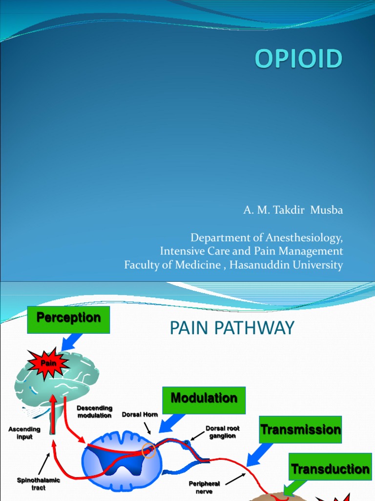 Opioid Pharmacology and Pain Management | PDF | Opioid | Analgesic