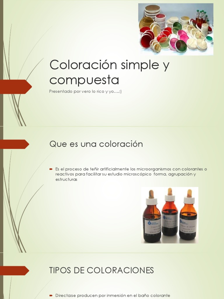 Coloración Simple y Compuesta en Microbiología | PDF