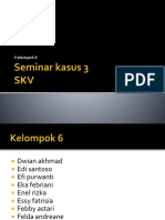 SKV-seminar 3.pptx
