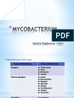 My Co Bacterium 1