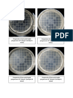dokumentasi jumlah bakteri